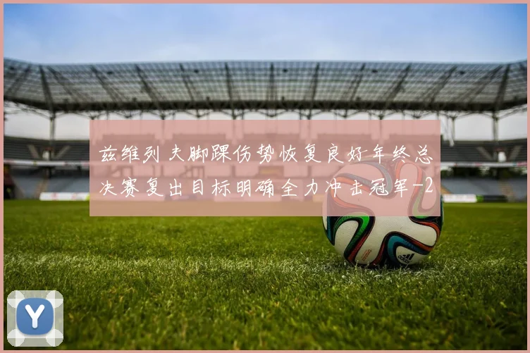 兹维列夫脚踝伤势恢复良好年终总决赛复出目标明确全力冲击冠军