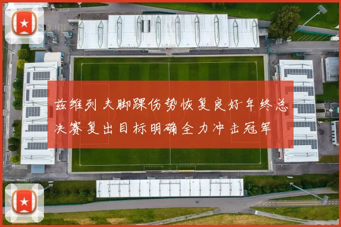 兹维列夫脚踝伤势恢复良好年终总决赛复出目标明确全力冲击冠军
