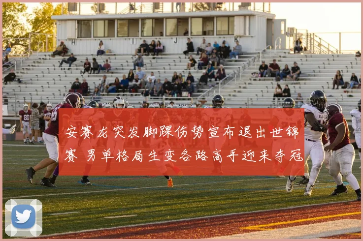安赛龙突发脚踝伤势宣布退出世锦赛 男单格局生变各路高手迎来夺冠良机