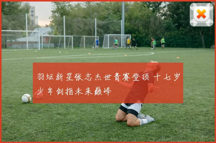 羽坛新星张志杰世青赛登顶 十七岁少年剑指未来巅峰
